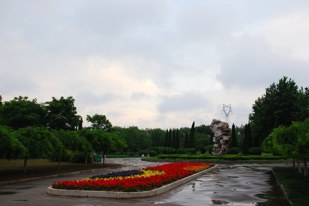 雨后的濮阳