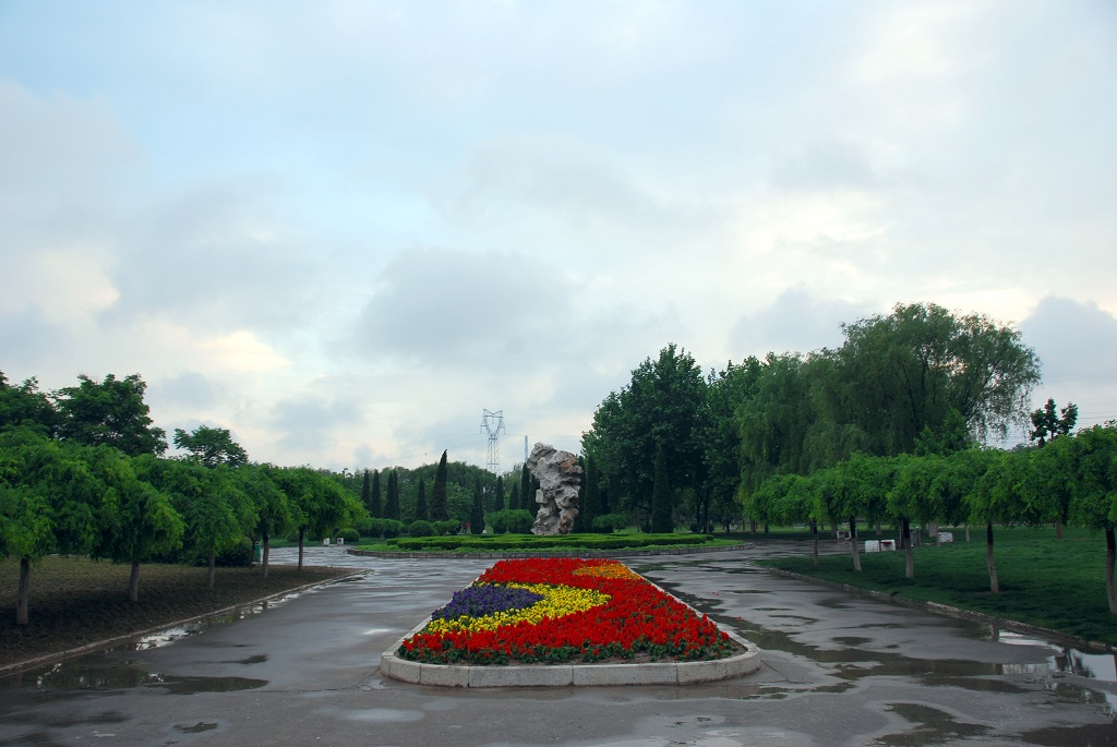 雨后的濮阳