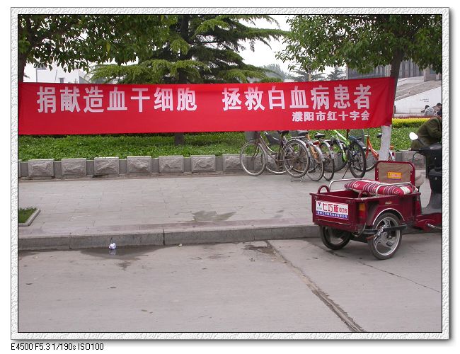 母亲节_造血干细胞自愿捐献者