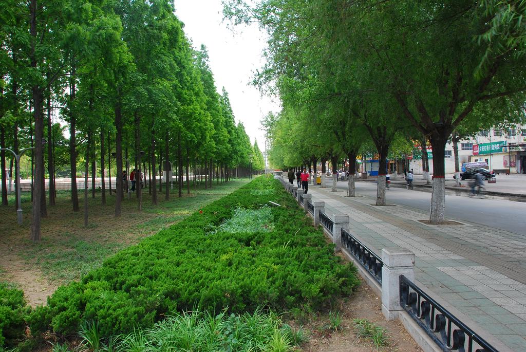 中心广场小景