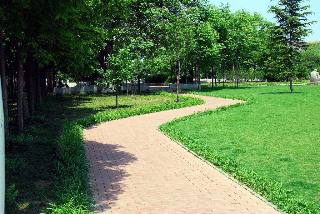 中心广场小景