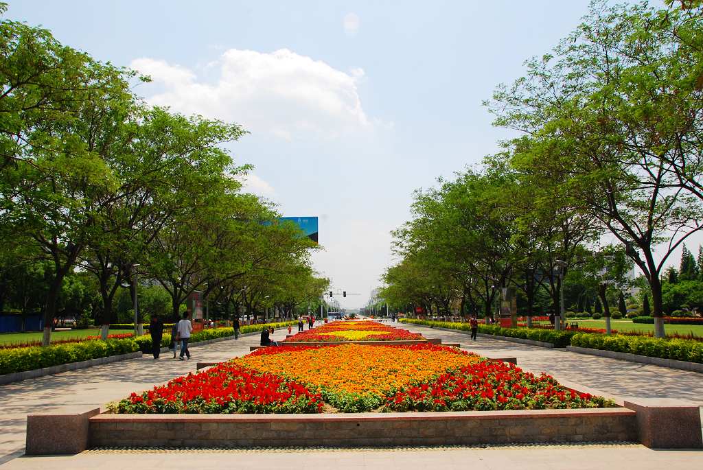 中心广场小景
