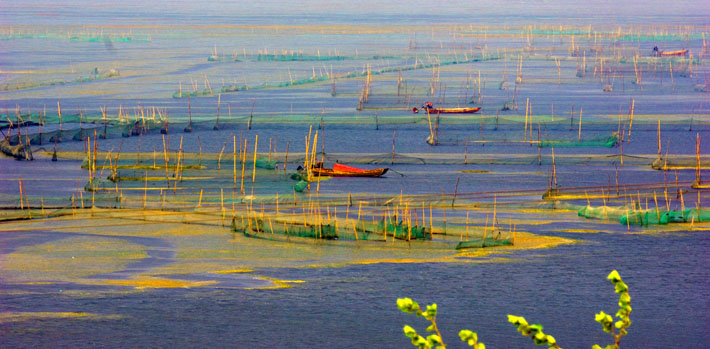 [原创]湖上青纱舟穿棱