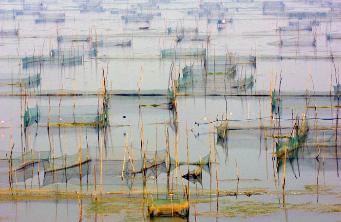 [原创]湖上青纱舟穿棱