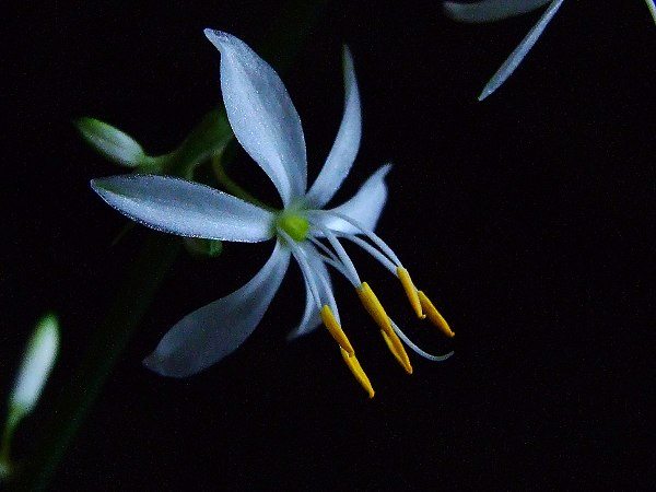 [原创]自得其乐