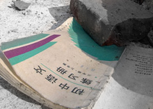 [转帖]妈妈,那些花朵就是我