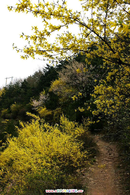 天平山采风探点记