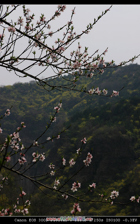 天平山采风探点记