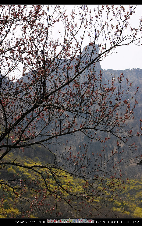 天平山采风探点记