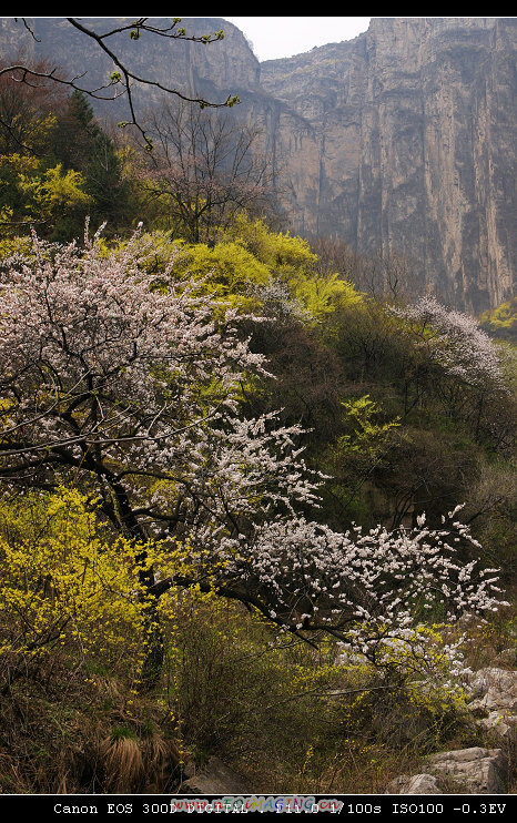 天平山采风探点记