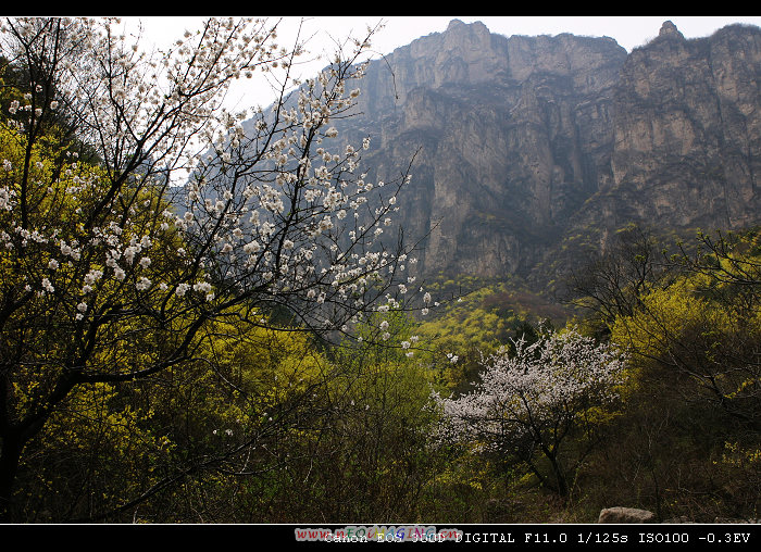 天平山采风探点记
