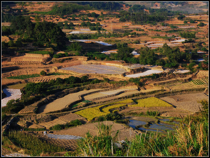 田园风光