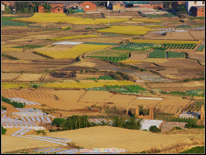 田园风光
