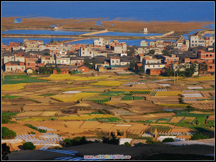 田园风光