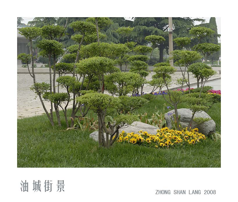 油城街景