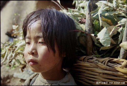 (转帖)令人震撼的照片