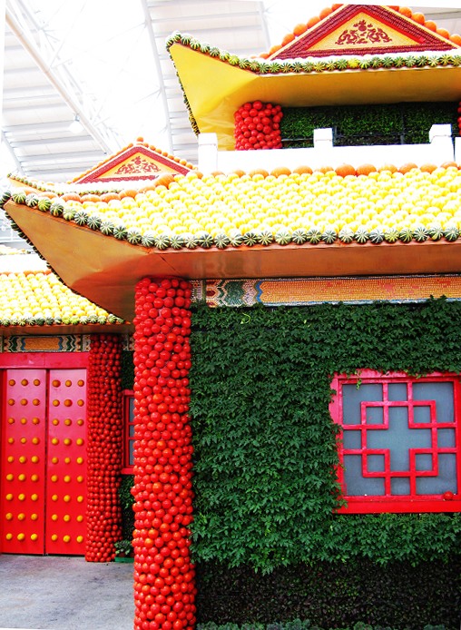 2008第九届寿光菜博会拾零