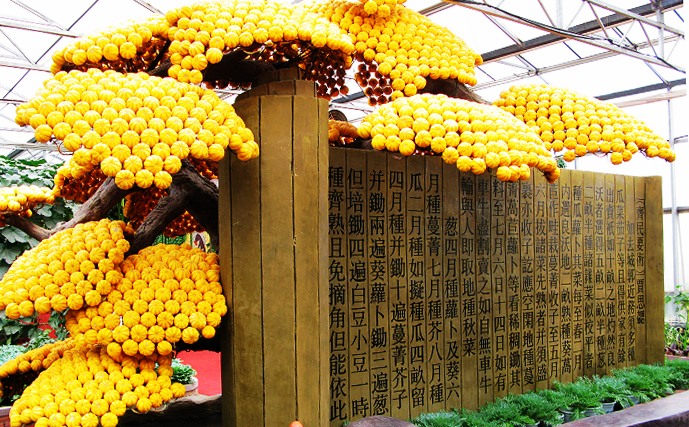 2008第九届寿光菜博会拾零