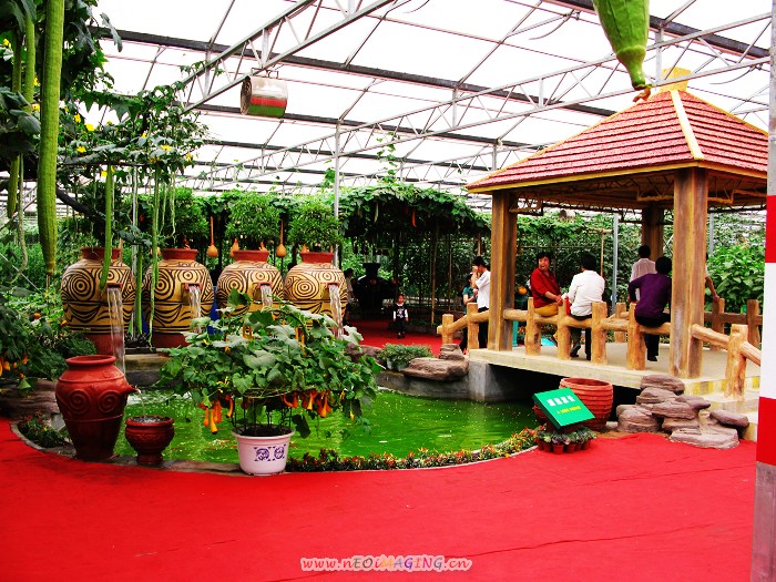 2008第九届寿光菜博会拾零