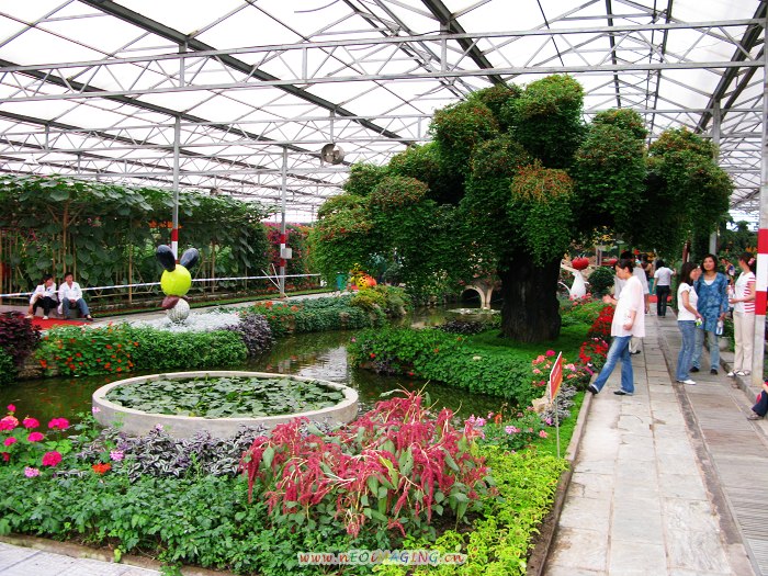 2008第九届寿光菜博会拾零