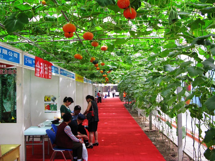 2008第九届寿光菜博会拾零
