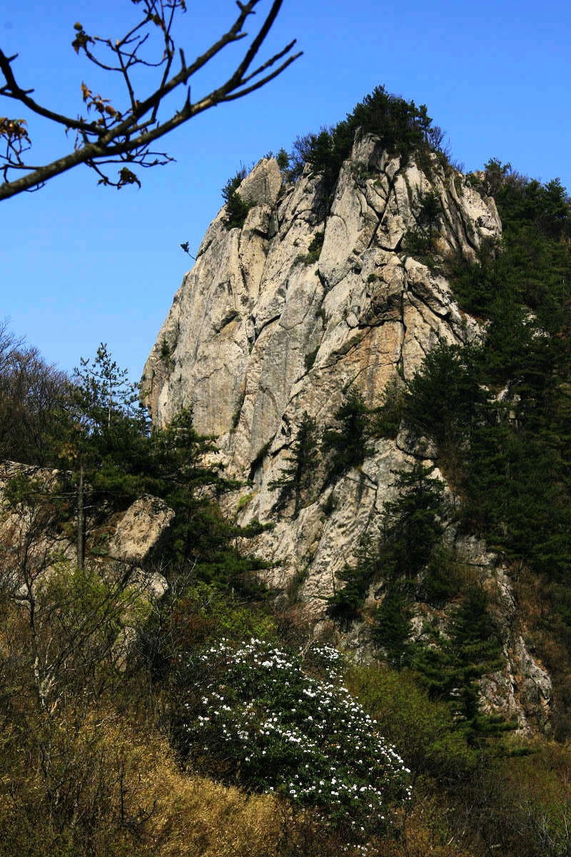 洛阳嵩县---白云山（二）