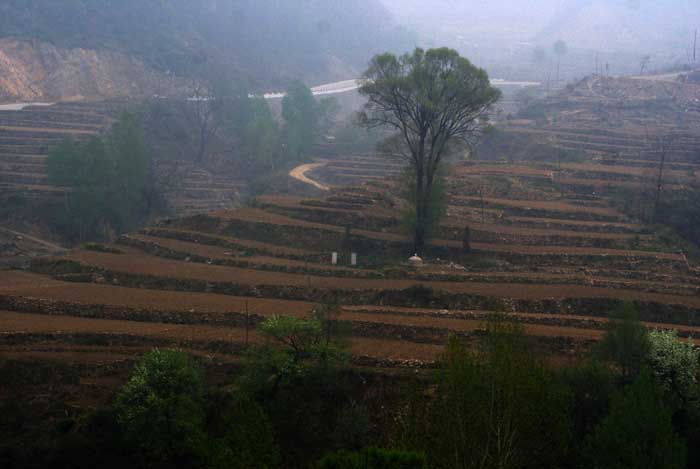 驼梁风景