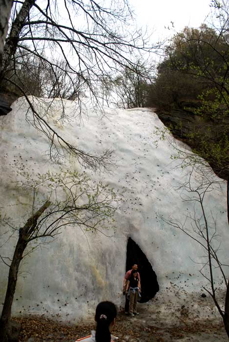驼梁风景