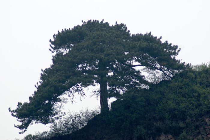 驼梁风景