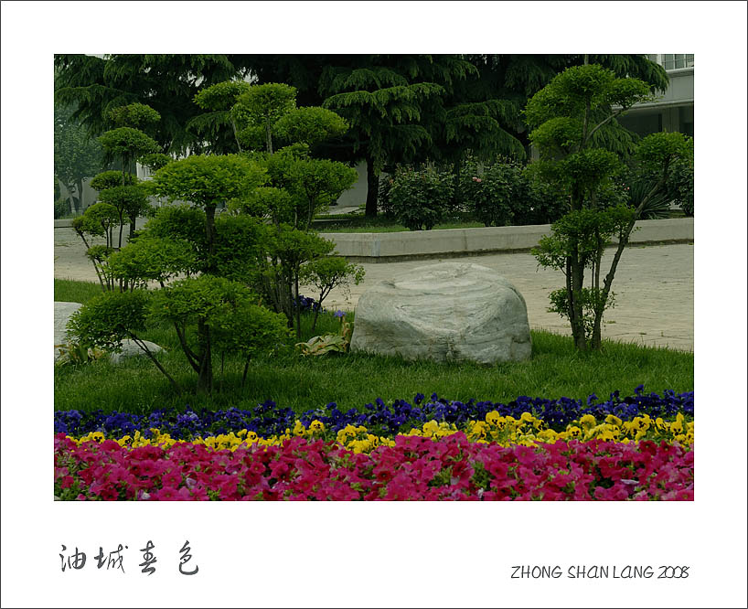 油城街景