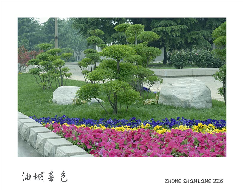 油城街景