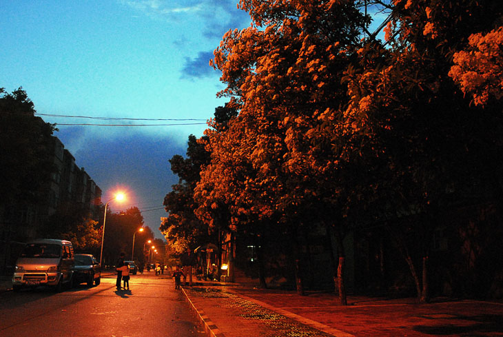 雨夜即景
