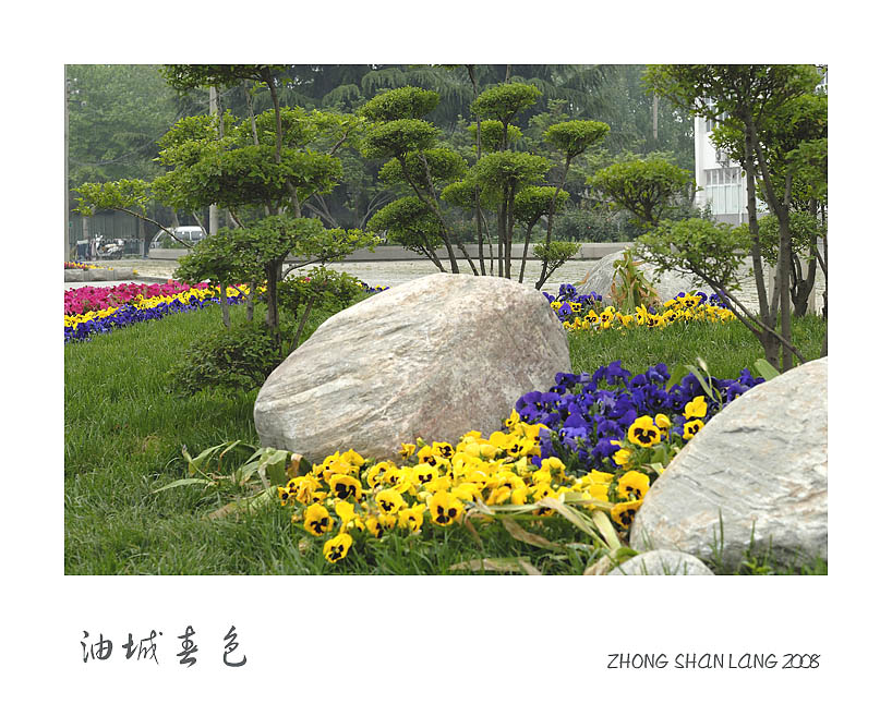 油城街景
