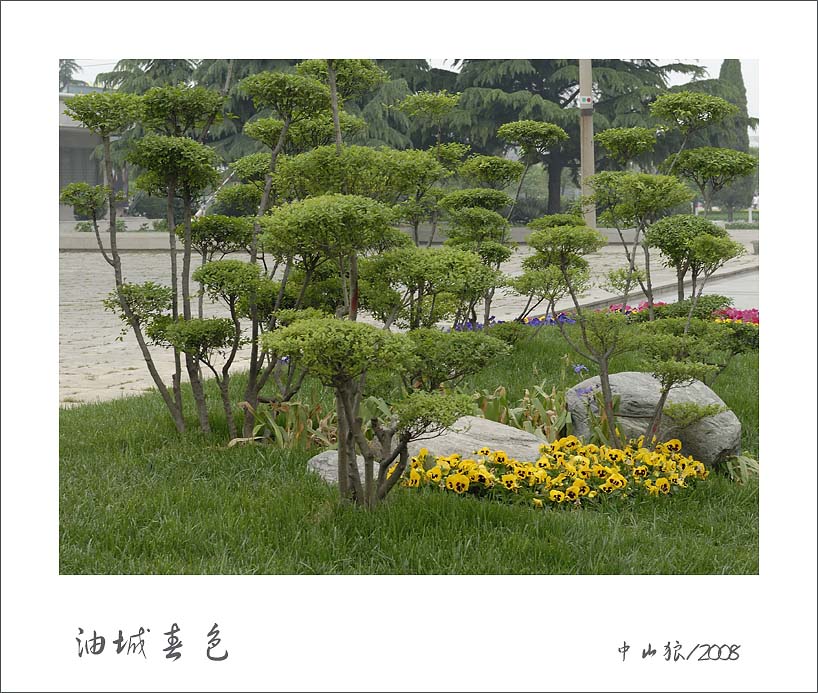 油城街景
