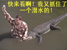 搞笑帖全集