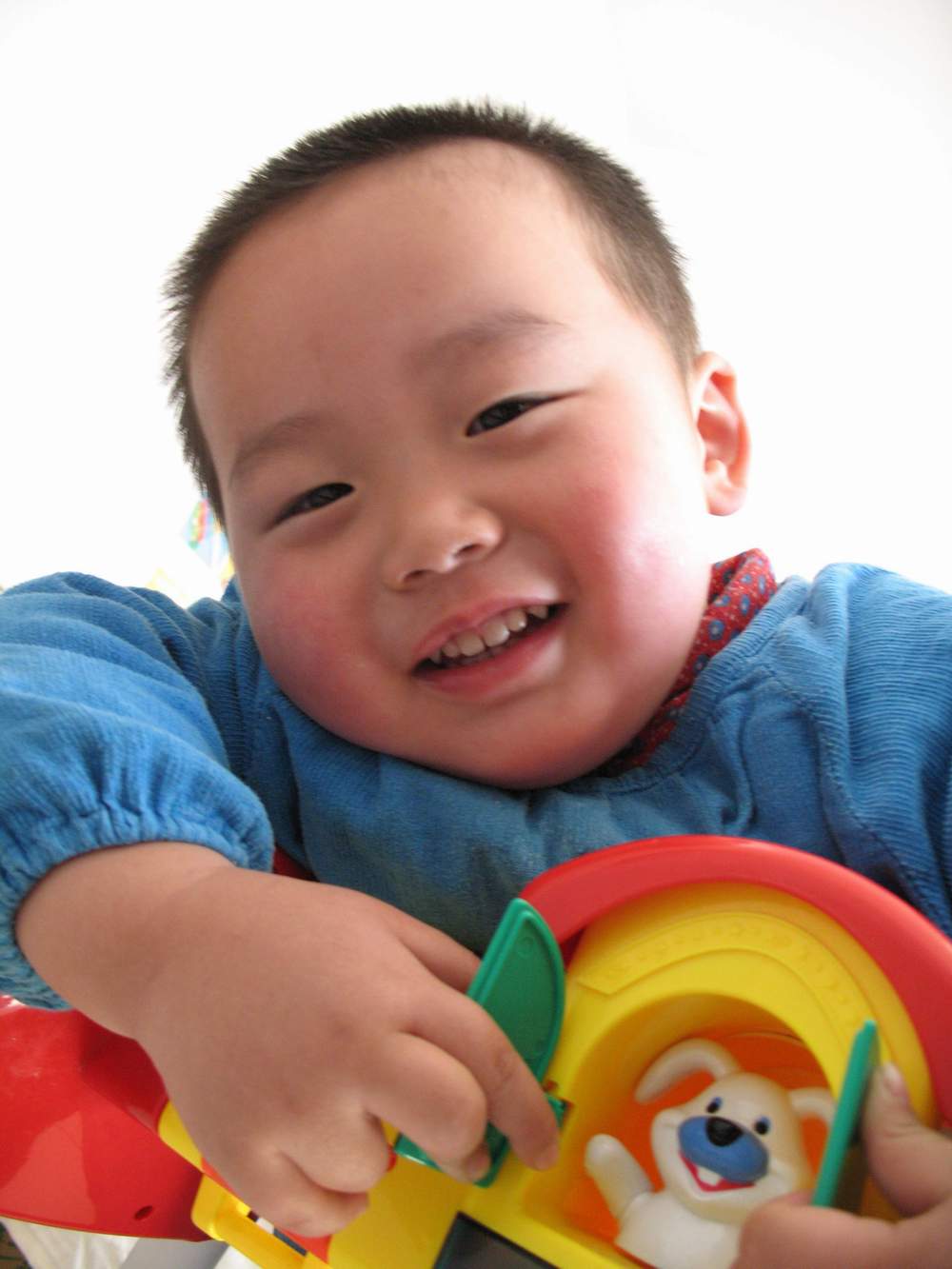 我找到了小兔子