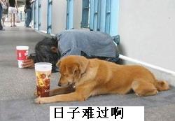 搞笑帖全集