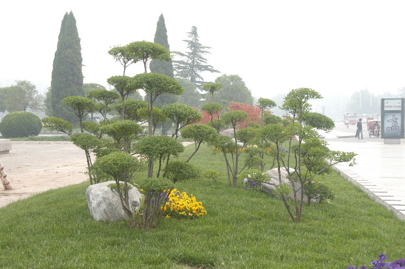 油城街景