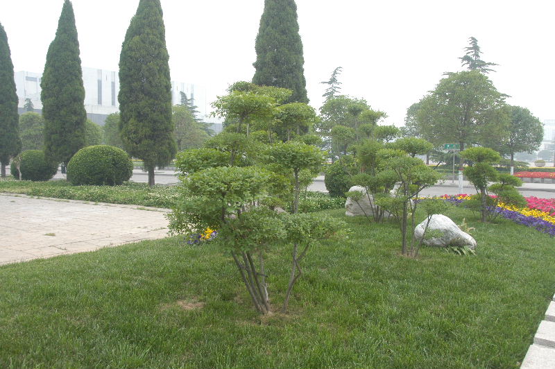 油城街景