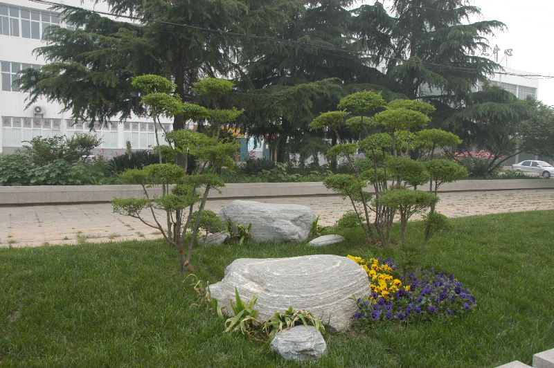 油城街景