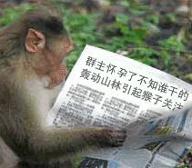 搞笑帖全集