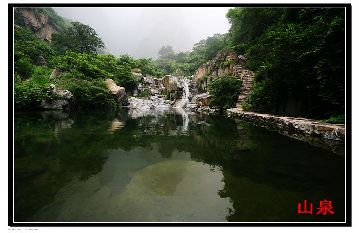 王莽岭风光