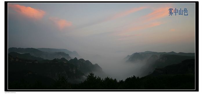 王莽岭风光