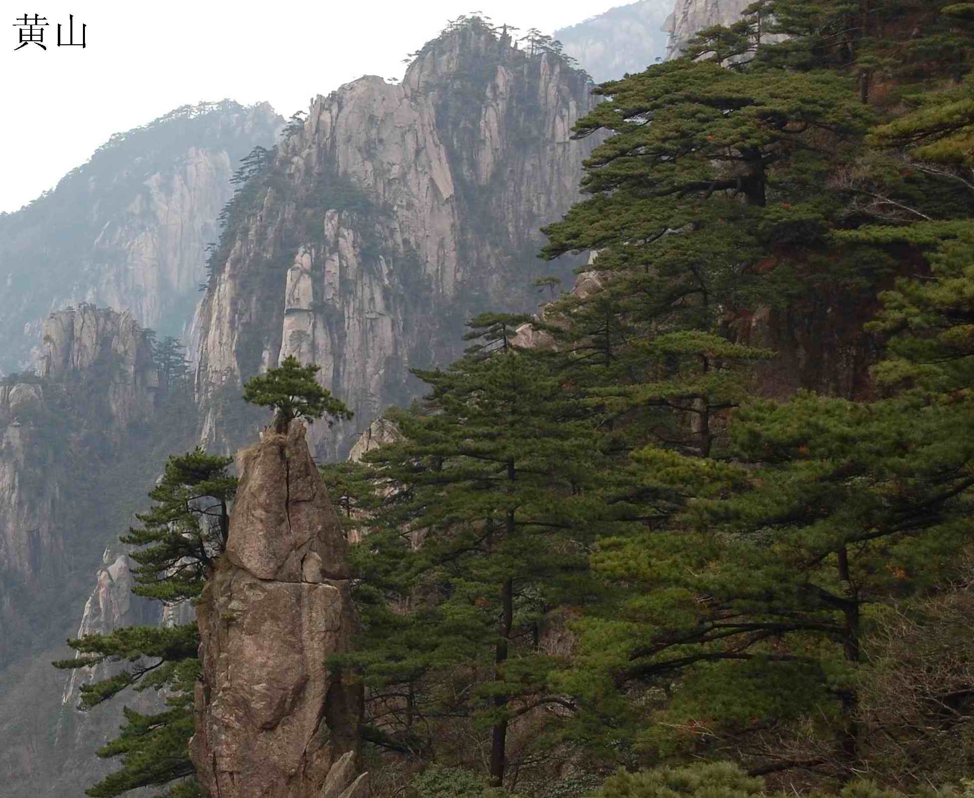[原创]黄山