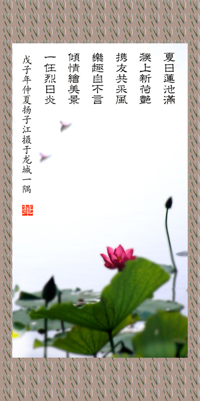 红荷图