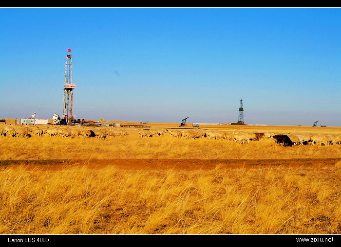 [贴图]胜利录井的，刚发现这个论坛，把平时的照片发上来和大家共享一下