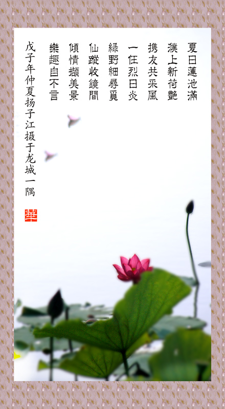 红荷图