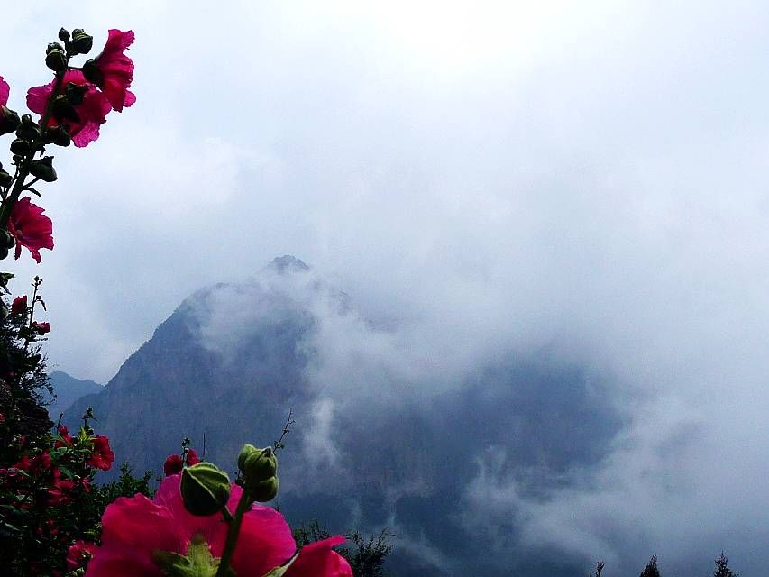 大山的呼唤