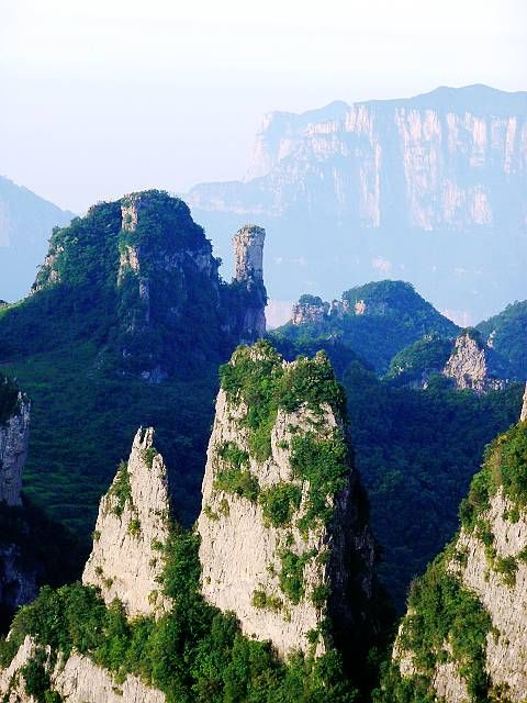 大山的呼唤