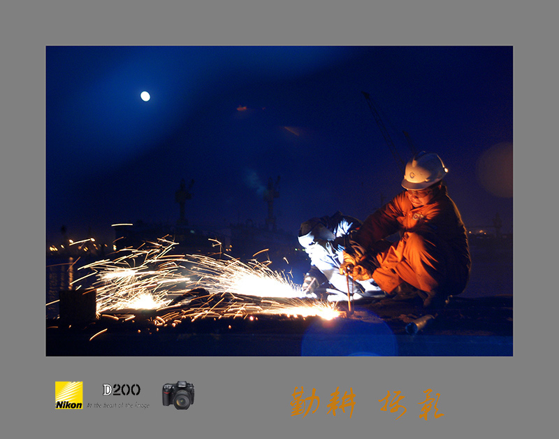 与月争辉